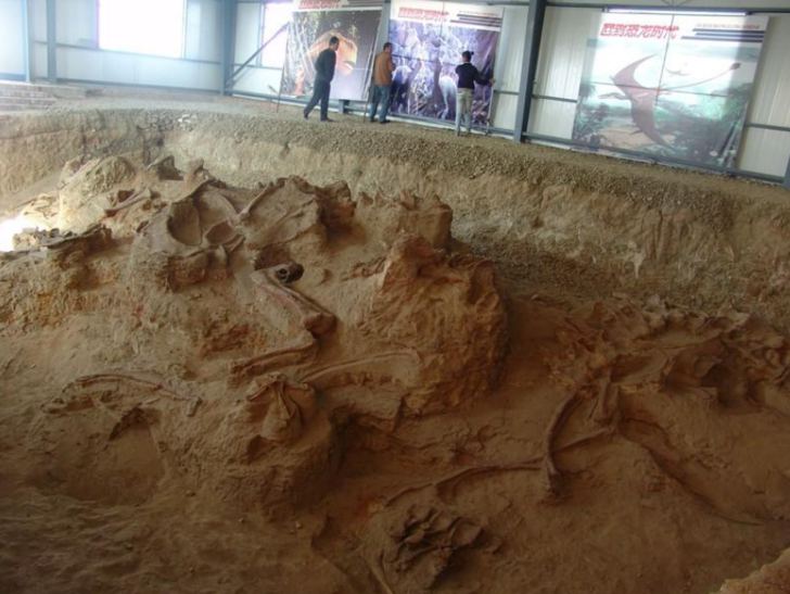 Çin'de 70 tonluk dinozor buldular! G2