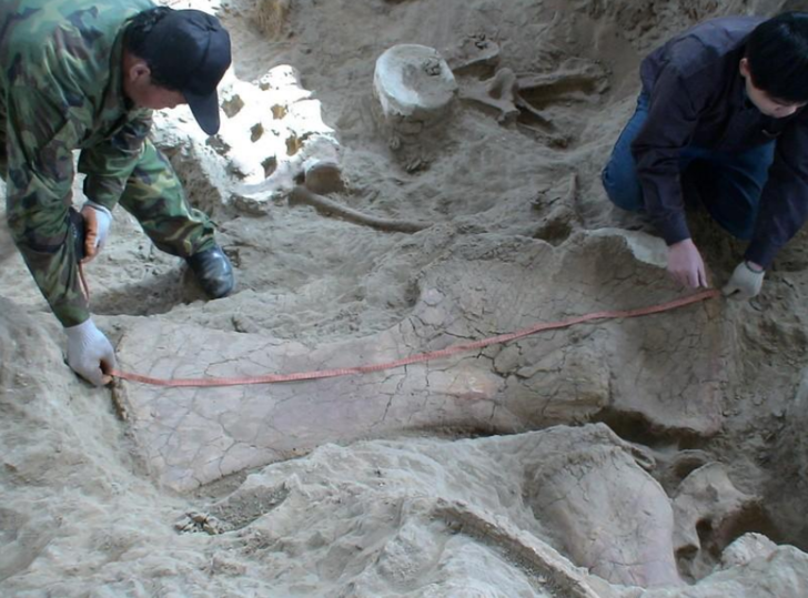 Çin'de 70 tonluk dinozor buldular! G1