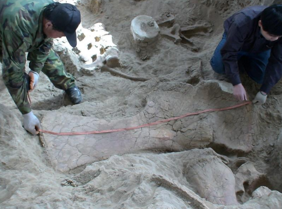 &Ccedil;in'de 70 tonluk dinozor buldular!