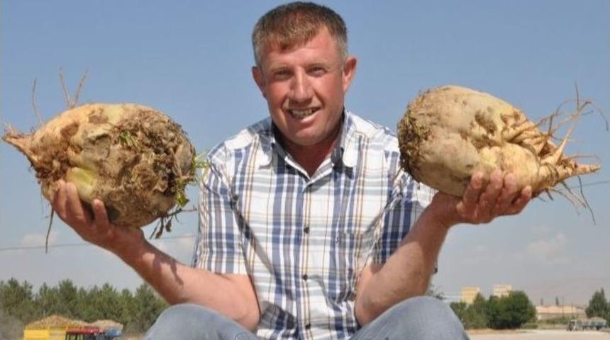 Elbistan Şeker Fabrikası&rsquo;nda 30. Kampanya D&ouml;nemi Başladı