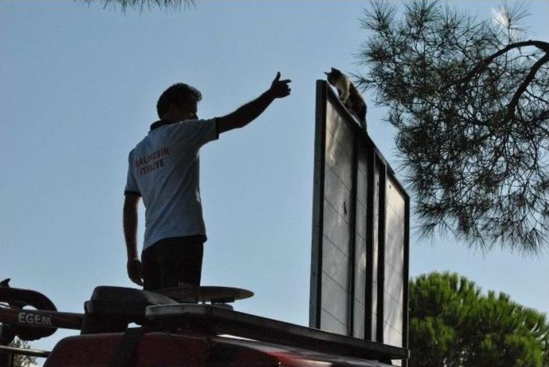 İtfaiyeden Kedi Kurtarma Operasyonu