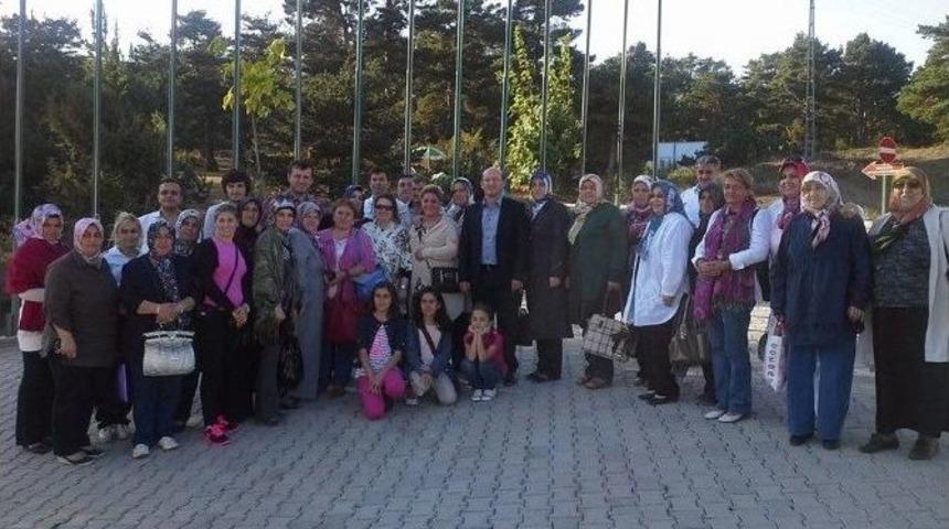 Ak Parti Niksar Teşkilatı Piknikte Buluştu