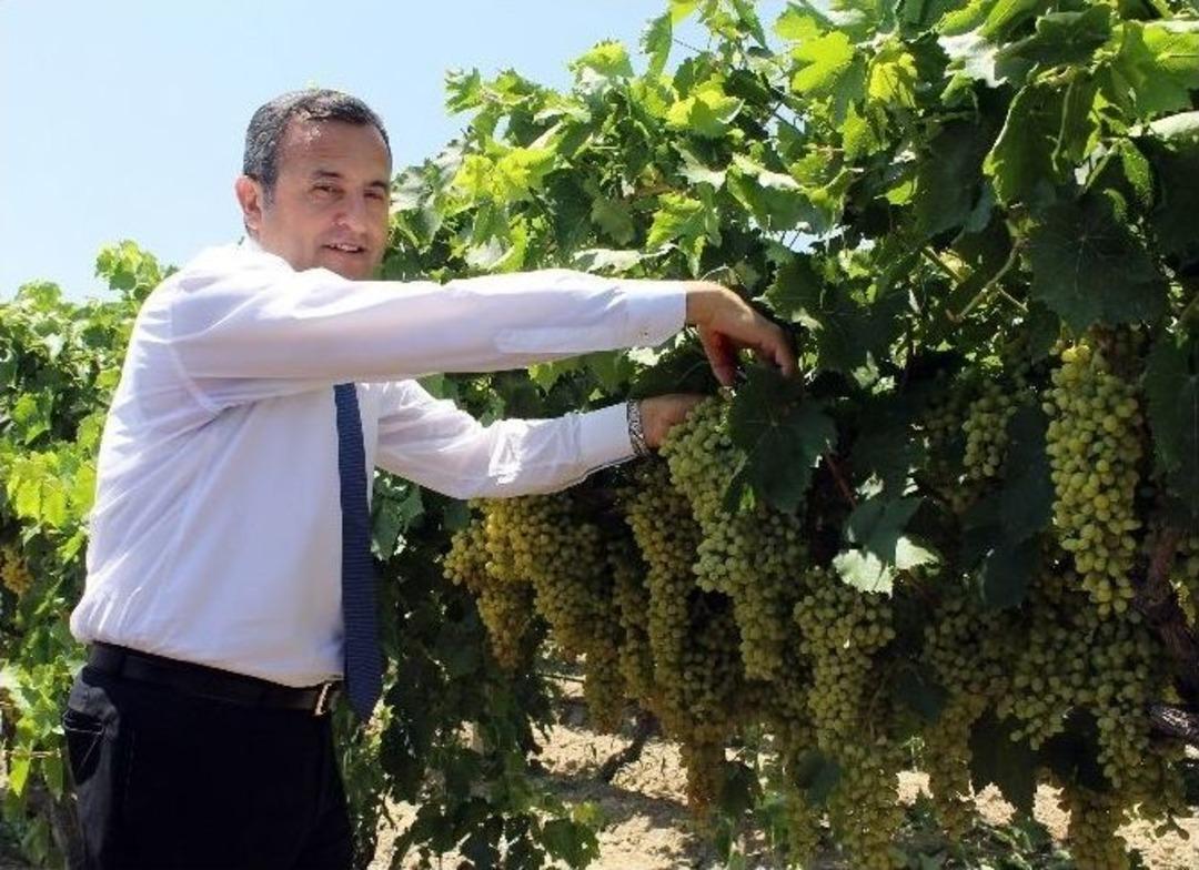 Vali Demir &Uuml;&ccedil; Yılın Ardından Denizli&rsquo;ye Veda Ediyor