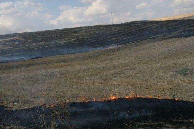 Yozgat Gıda Tarım Ve Hayvancılık İl Müdürü Özdemir: