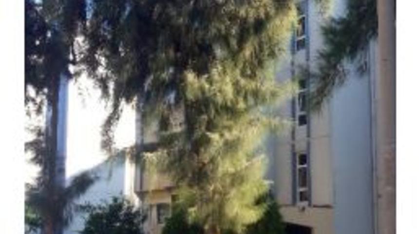 Abd&rsquo;den Meslek &Ouml;ğrenmek İ&ccedil;in Geldi Aşırı Dozdan &Ouml;ld&uuml;