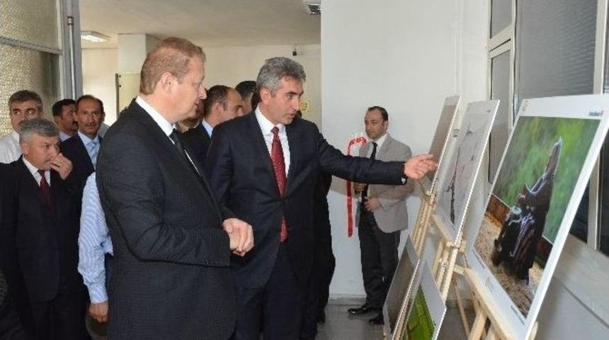 G&uuml;m&uuml;şhane&rsquo;de Tarım Ve İnsan Konulu Fotoğraf Sergisi A&ccedil;ıldı