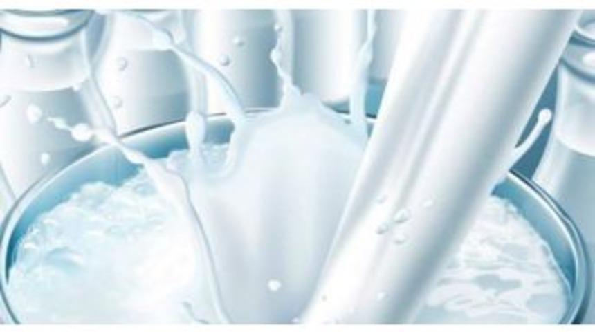 İnek S&uuml;t&uuml; Miktarı Arttı