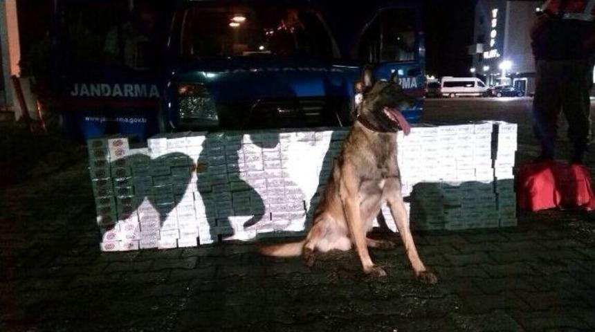 Kulu&rsquo;da 3 Bin Paket Ka&ccedil;ak Sigara Ele Ge&ccedil;irildi