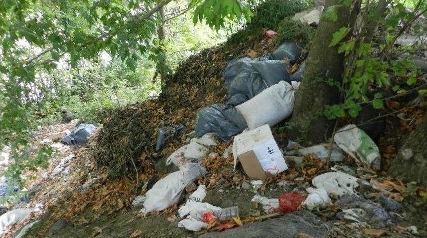 İstanbul&rsquo;un Suyunu Taşıyan Havza &Ccedil;&ouml;p Alanı Oldu