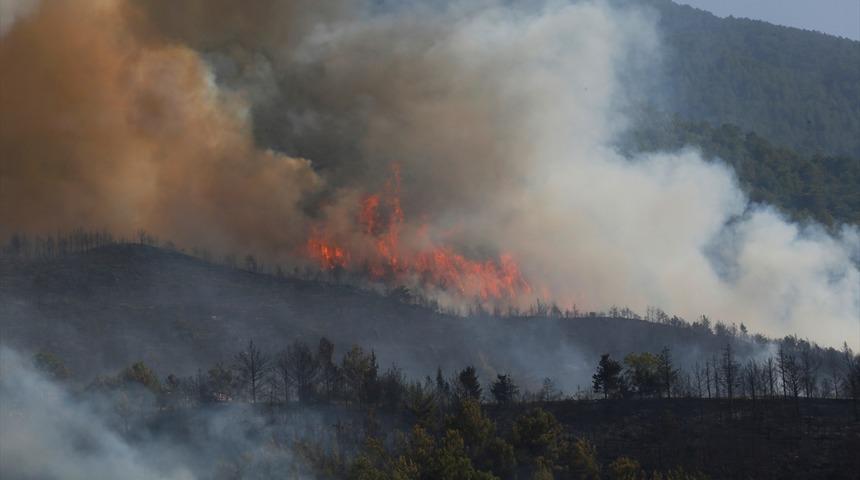Hatay'daki orman yangınında 40 hektarlık alan zarar g&ouml;rd&uuml;