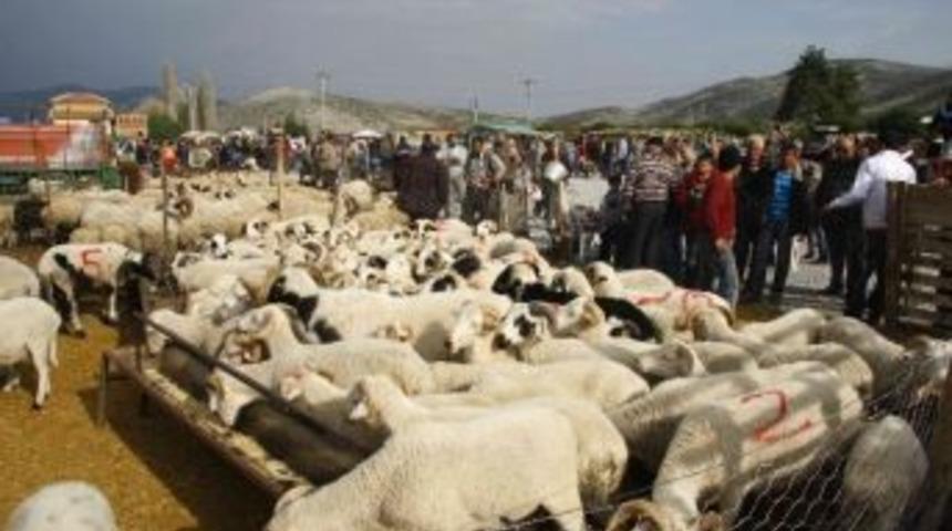 Aydın&rsquo;da Kurban &Ouml;nlemleri Belirlendi