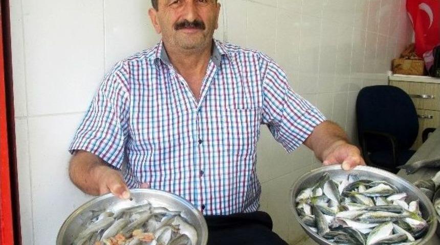 Gireun&rsquo;da Balık Tezgahları Dolmaya Başladı