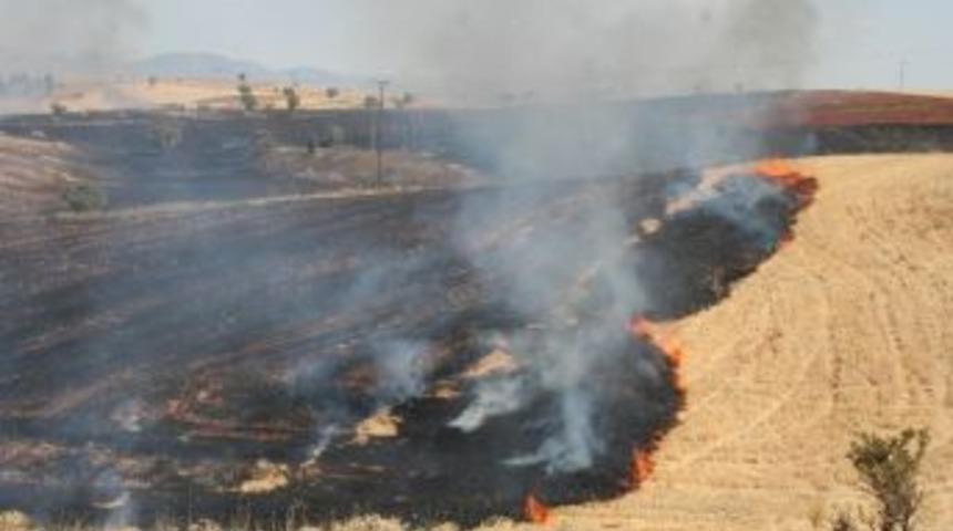 Beyşehir&rsquo;de Anız Yakan Tarla Sahipleri Cezadan Kurtulamıyor