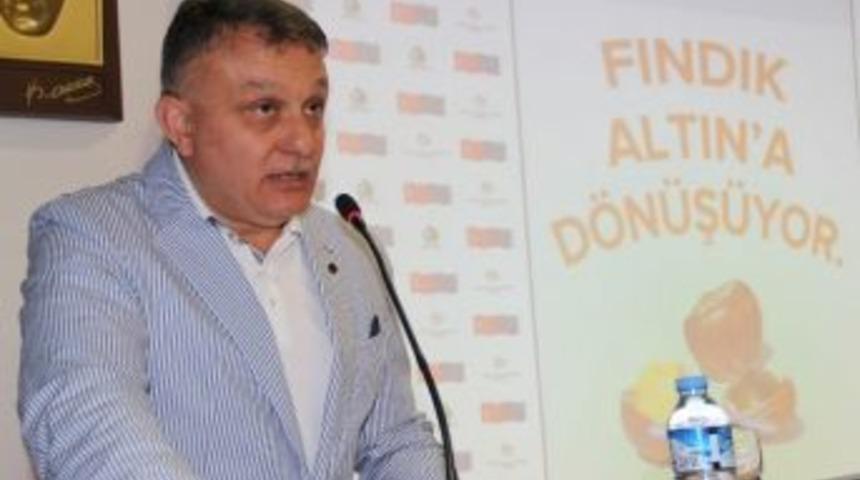 Fındıkta İ&ccedil; T&uuml;ketim Durdu, İhracat D&uuml;şt&uuml;, Fiyatlar Geriledi