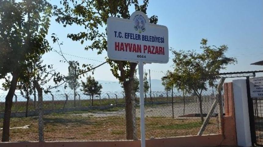 Efeler Belediyesi Kurban Bayramına Hazır