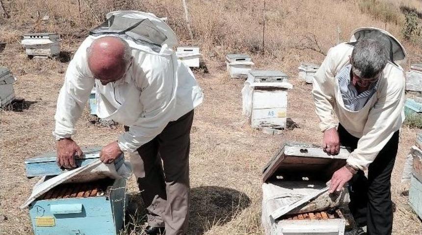 Yozgatlı Arıcılar Sahte Baldan Dertli
