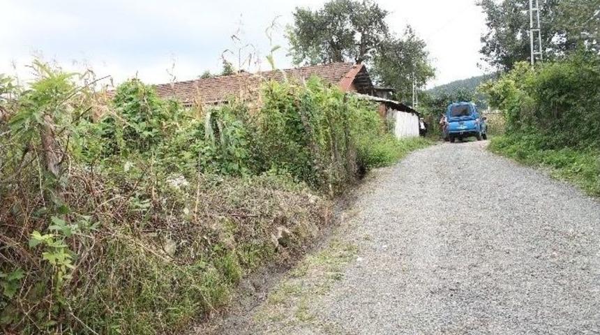 Bir Metre Yer İ&ccedil;in Amca Oğlunu &Ouml;ld&uuml;rd&uuml;