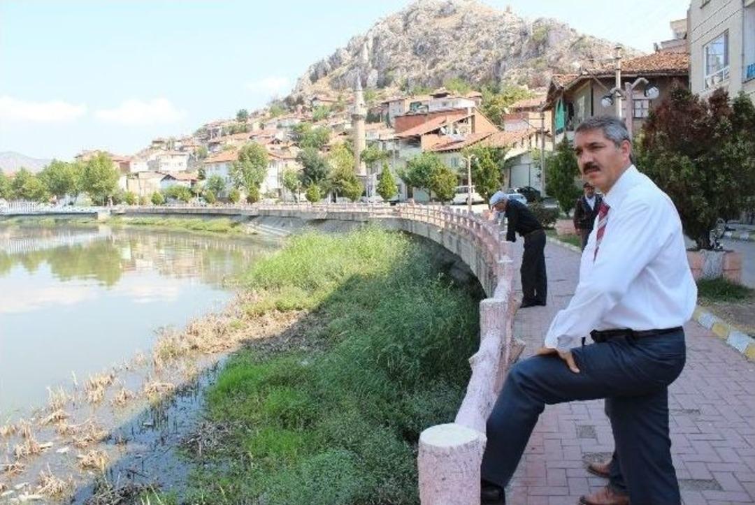 Yeşilırmak Bal&ccedil;ıktan Kurtarılıyor