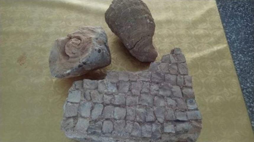 Tut&rsquo;ta Fosil Ve Tarihi Kalıntılar Bulundu