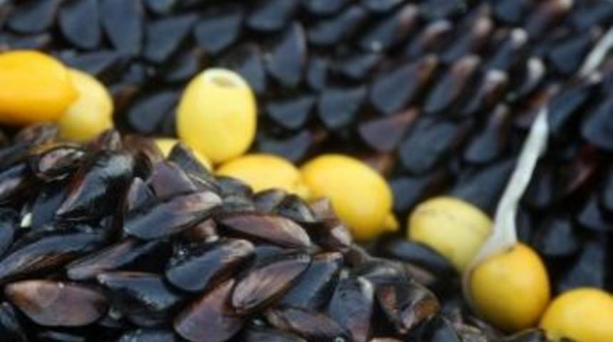 Sel&ccedil;uk&rsquo;ta Midye Satışı Yasağı