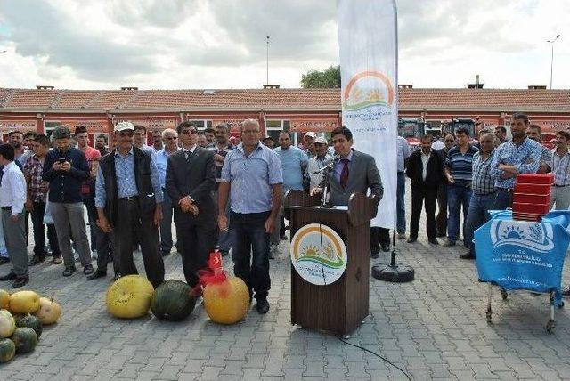 18 Kiloluk Kabak Görenleri Şaşırttı