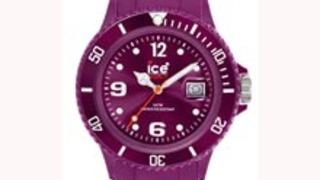 İce-Watch İle Sonbahar Coşkusu