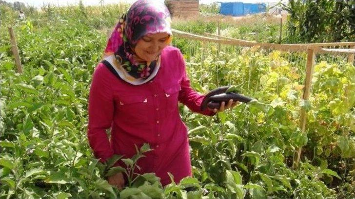 Yyü’de En İyi Hobi Bahçesi Ödül Töreni G2