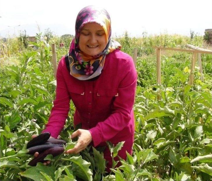 Yyü’de En İyi Hobi Bahçesi Ödül Töreni G3