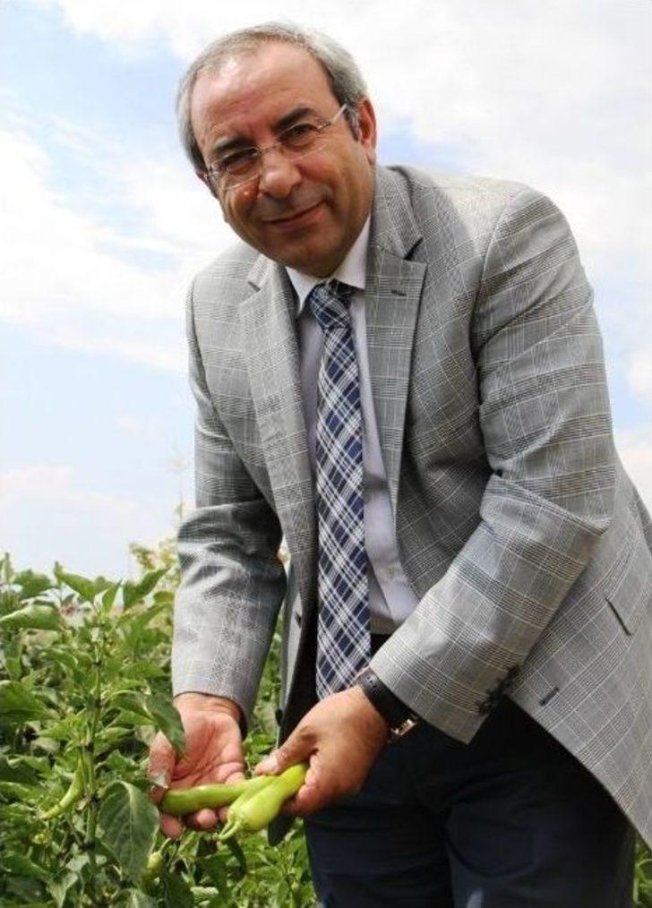 Yyü’de En İyi Hobi Bahçesi Ödül Töreni G4