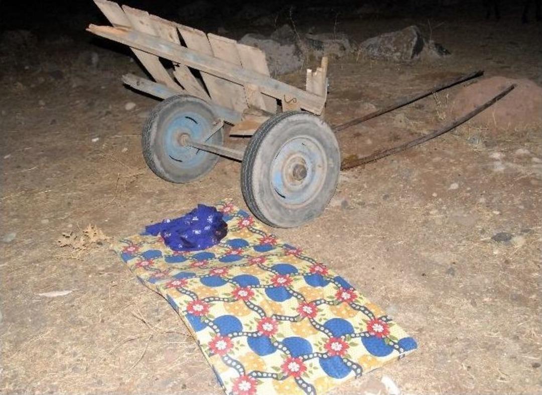 Otomobil, At Arabasına &Ccedil;arptı: 5 Yaralı