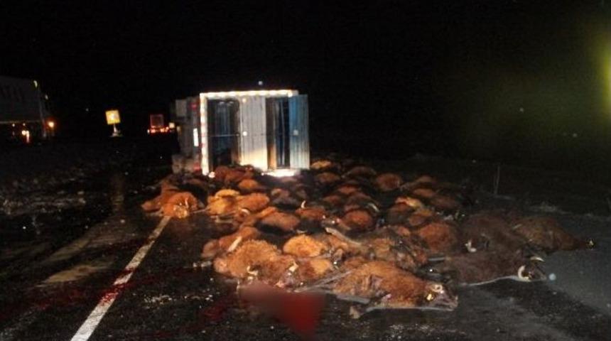 Kars&rsquo;ta Tır Şarampole U&ccedil;tu