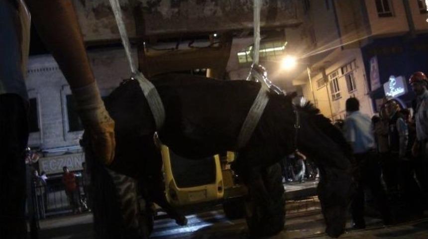 Şanlıurfa’da Yaralı At Operasyonu