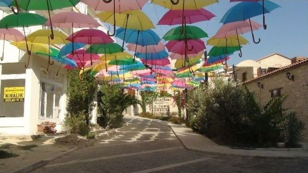 Mandala Ke&ccedil;e İle Hayat Buldu