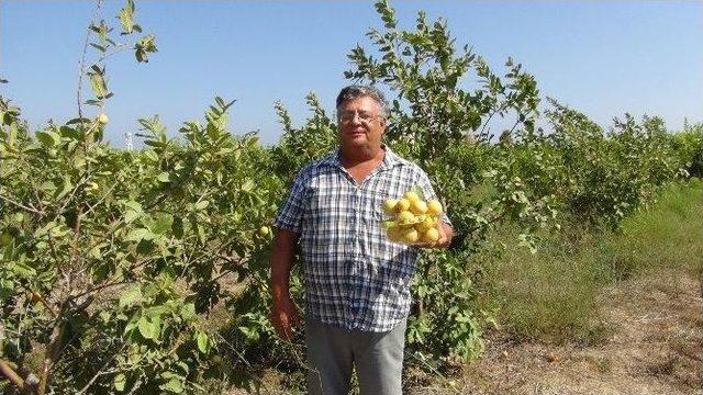 (özel Haber) Merak Etti Üretti, Kanser Hastalarına Umut Oldu