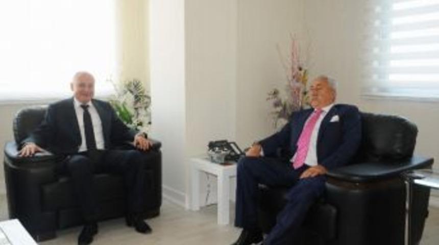 Sevim&ccedil;ok, Yeniden Tesk Y&ouml;netim Kurulu&rsquo;nda