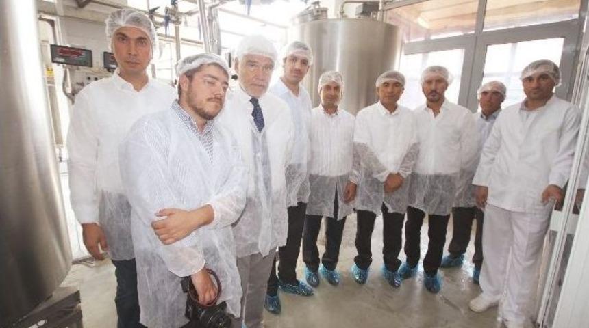 Mado, Saatte 5 Ton Dondurma &Uuml;retiyor