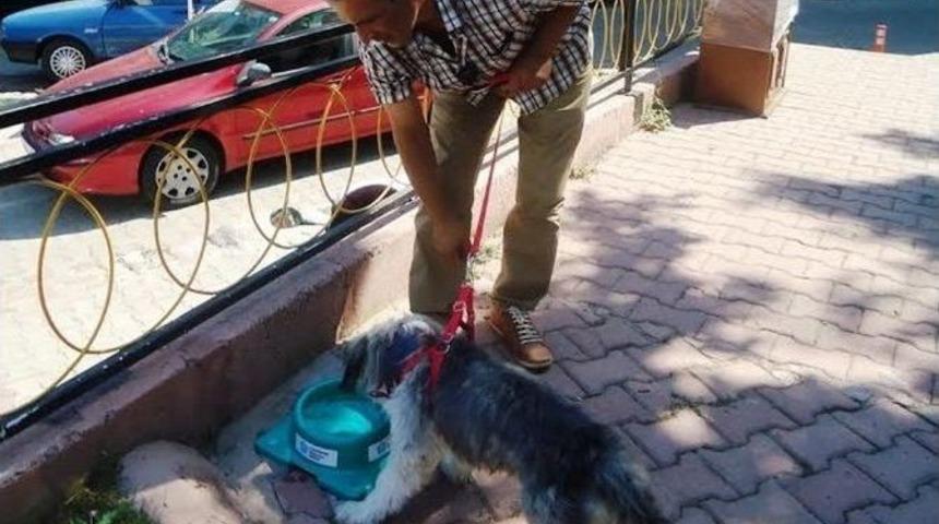 S&uuml;leymanpaşa Belediyesi Sokak Hayvanlarını Unutmadı