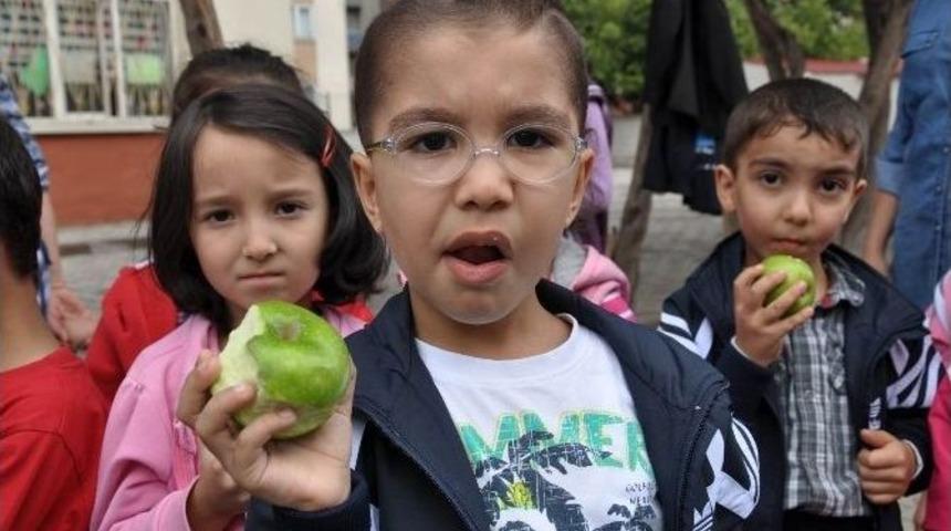 Sivas’ta ’kahvaltımı Yaptım, Meyvem Çantamda’ Etkinliği Yapıldı