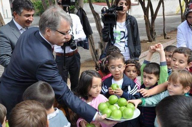 Sivas’ta ’kahvaltımı Yaptım, Meyvem Çantamda’ Etkinliği Yapıldı