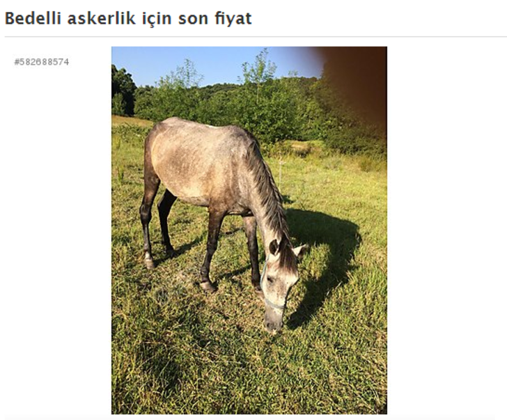 Bedelli askerlik için satılık inek, at, traktör! G2