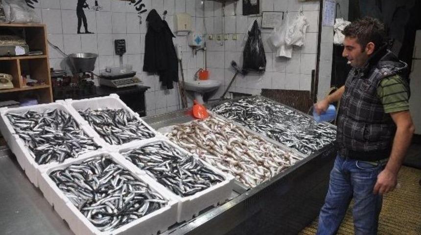 Olumsuz Hava Balık Fiyatlarını Y&uuml;kseltti