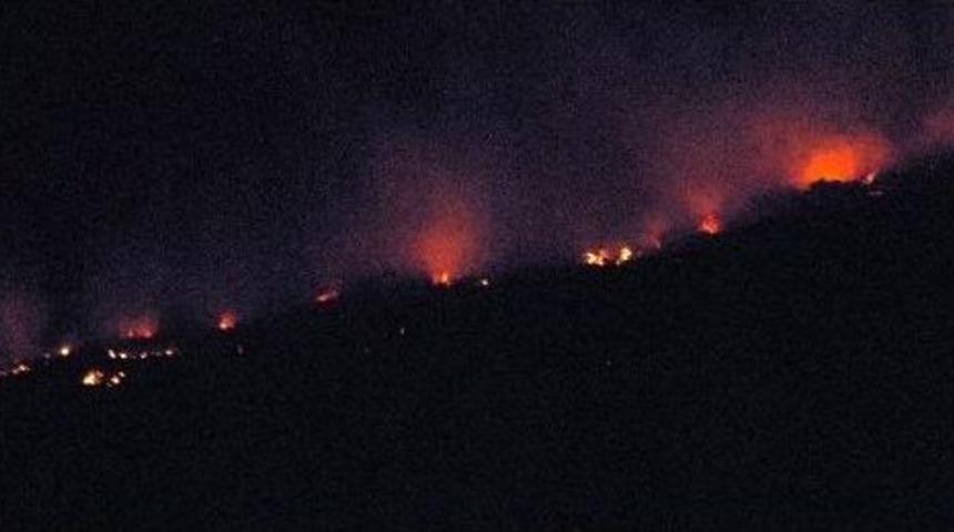 Otlak Yangını Korkuttu