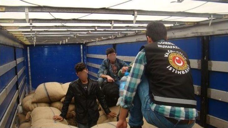 Kapıkule’de İki Ayrı Operasyonda 12 Kaçak Göçmen Yakalandı