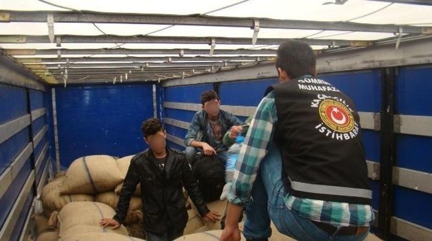 Kapıkule&rsquo;de İki Ayrı Operasyonda 12 Ka&ccedil;ak G&ouml;&ccedil;men Yakalandı