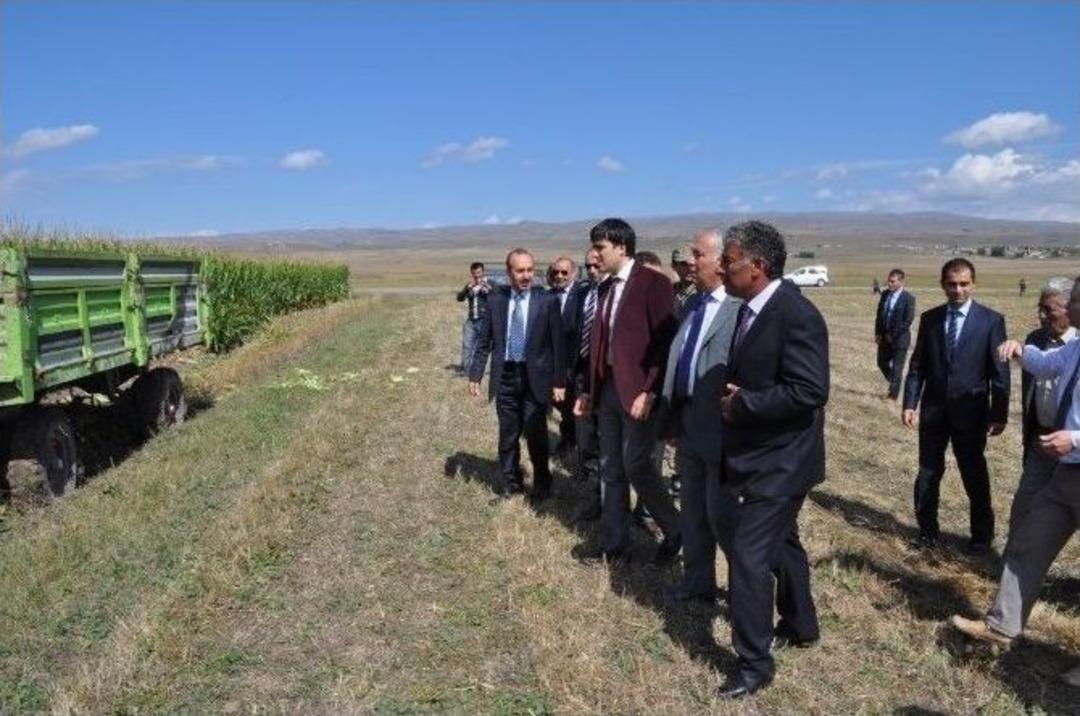 Arpa&ccedil;ay&rsquo;da Tarla G&uuml;n&uuml;