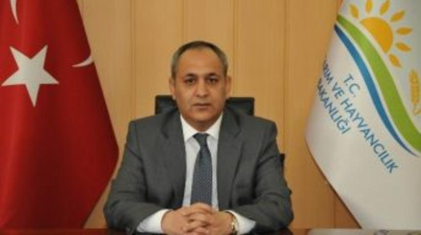 &Ccedil;ıralı&rsquo;da "eko Tatil" Projesi