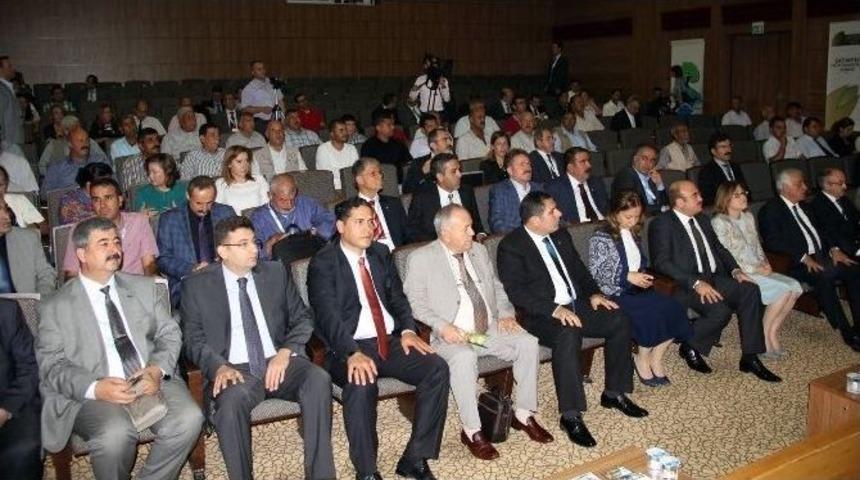 Antepfıstığında Hedef D&uuml;nya Liderliği