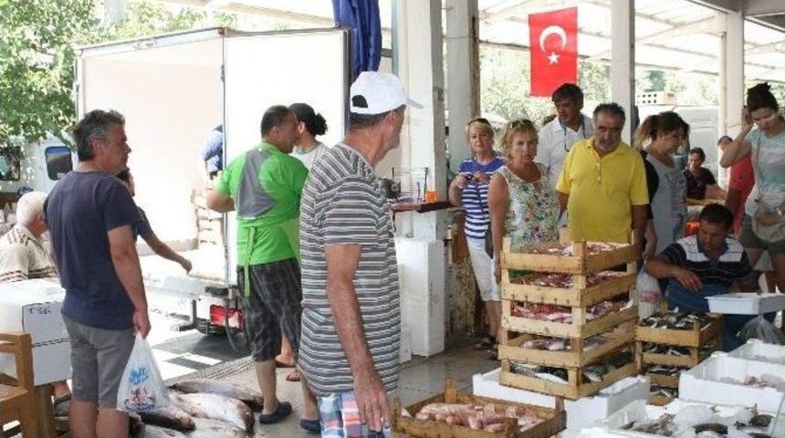 Av Yasağı Sona Erdi, Yerli Balıkta Artış Yaşanıyor