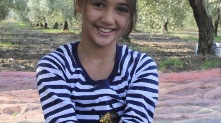 Zeytinyağı Rekoltesi Y&uuml;zleri G&uuml;ld&uuml;recek