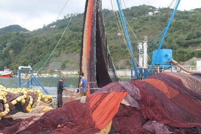 Deniz Suyu Sıcaklığı Palamut Avını Etkiledi